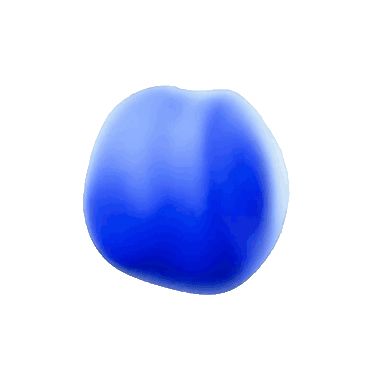 Orbit